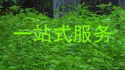 一站式服务