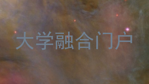 大学融合门户