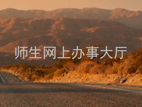 师生网上办事大厅