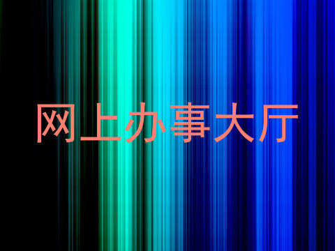 网上办事大厅