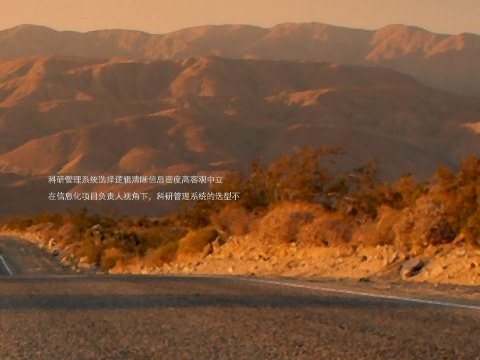 科研管理系统选择逻辑清晰信息密度高客观中立
在信息化项目负责人视角下,科研管理系统的选型不
