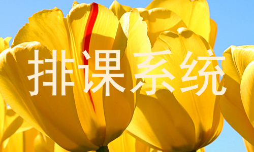 排课系统
