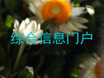 综合信息门户