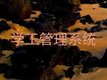 学工管理系统