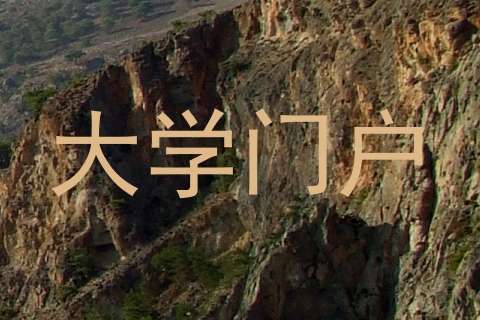 大学门户