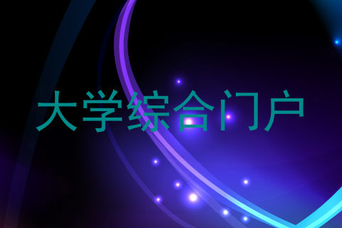 大学综合门户