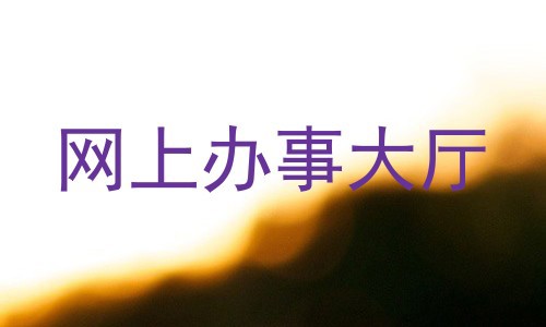 网上办事大厅