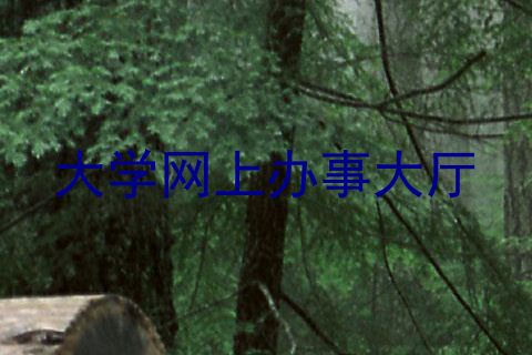 大学网上办事大厅