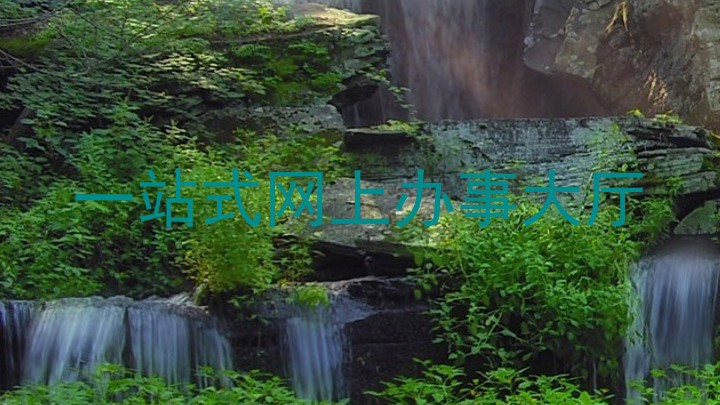 一站式网上办事大厅