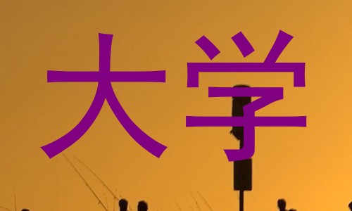 大学
