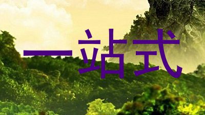 一站式