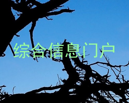 综合信息门户