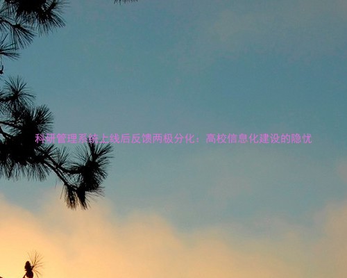 科研管理系统上线后反馈两极分化:高校信息化建设的隐忧
