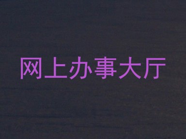 网上办事大厅