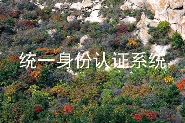 统一身份认证系统