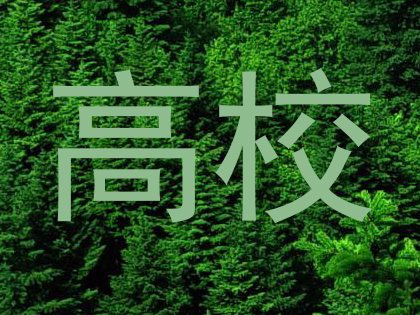 高校