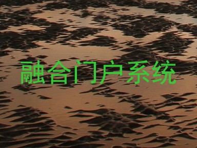 融合门户系统