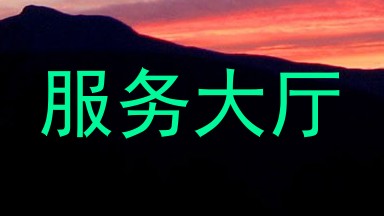 服务大厅