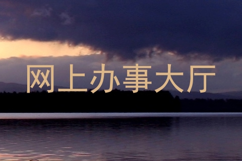网上办事大厅