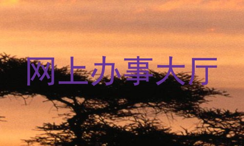 网上办事大厅