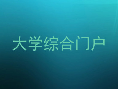 大学综合门户
