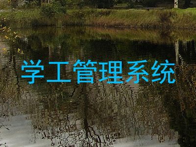 学工管理系统