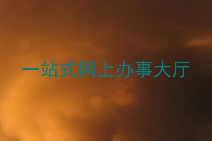 一站式网上办事大厅
