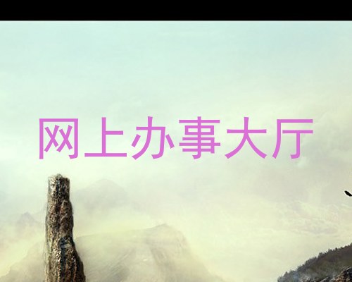网上办事大厅