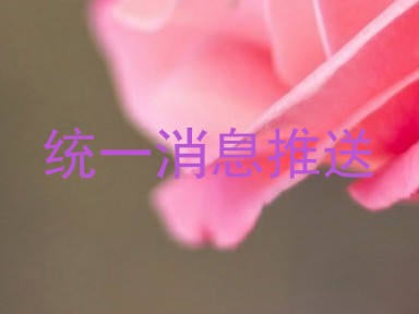 统一消息推送