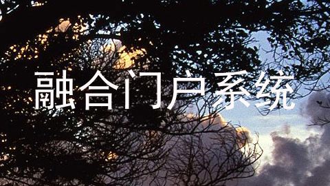 融合门户系统