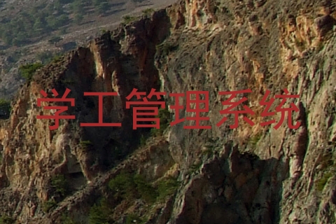 学工管理系统