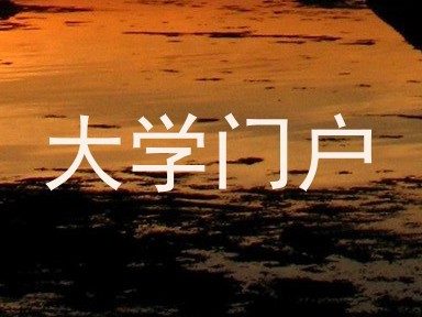 大学门户