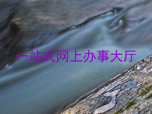 一站式网上办事大厅
