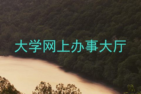 大学网上办事大厅