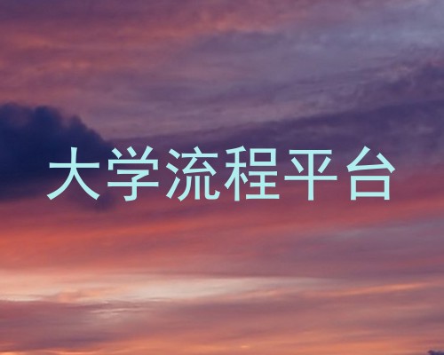 大学流程平台
