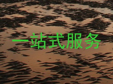 一站式服务