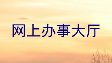网上办事大厅