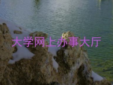 大学网上办事大厅