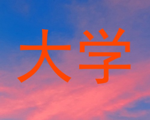 大学