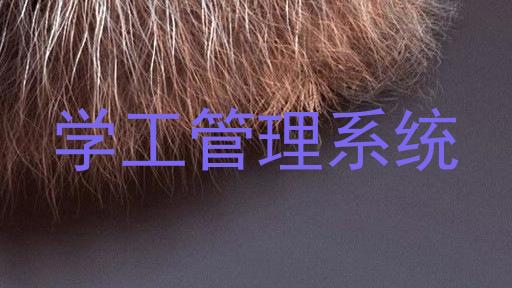 学工管理系统