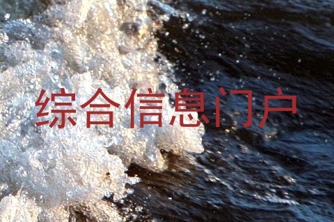 综合信息门户