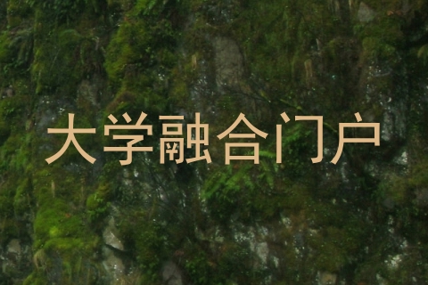 大学融合门户