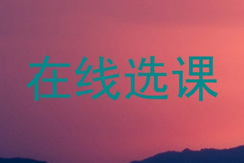 在线选课