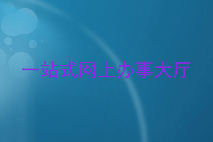 一站式网上办事大厅