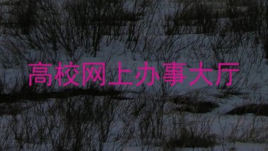 高校网上办事大厅