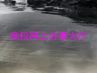 高校网上办事大厅
