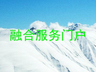 融合服务门户