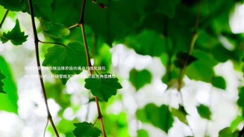 高校科研管理系统运维阶段的痛点与优化路径  

## 问题分析：科研管理系统在运维阶段的典型挑战