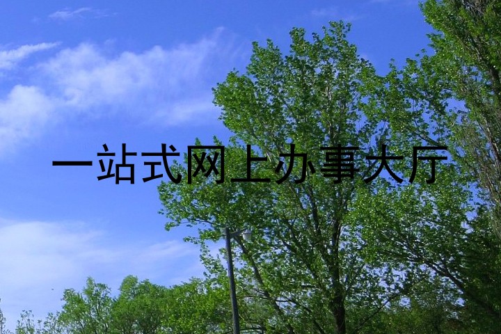 一站式网上办事大厅