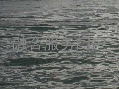 融合服务门户
